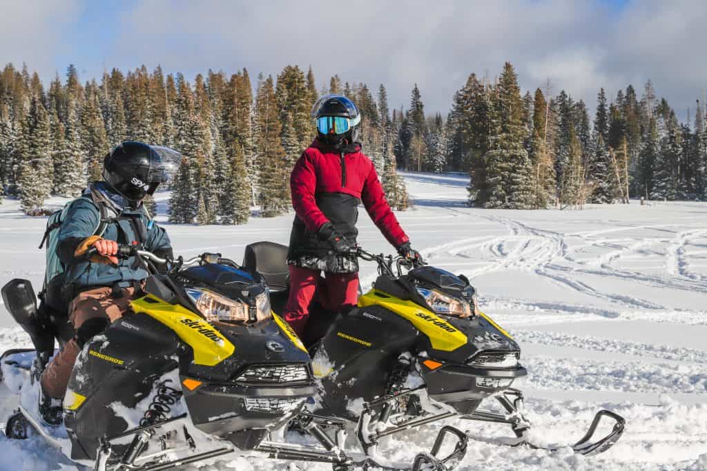 Two snowmobilers on a snowy mountain